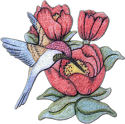image.gif