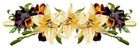 image.gif