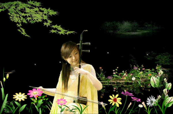 image.gif