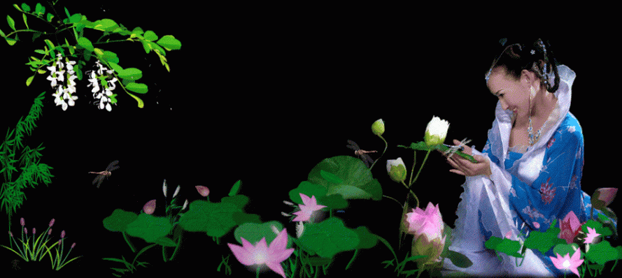 image.gif