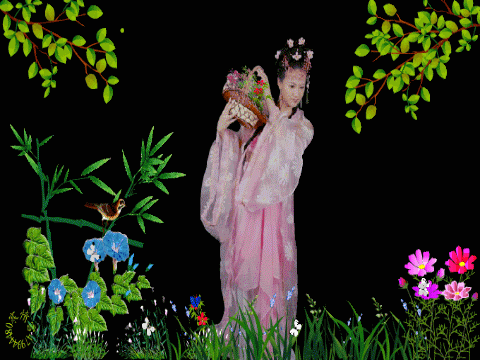 image.gif