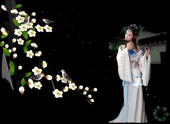image.gif
