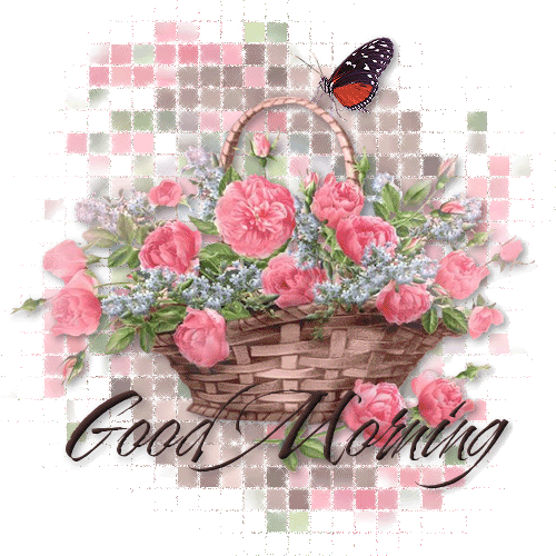 image.gif