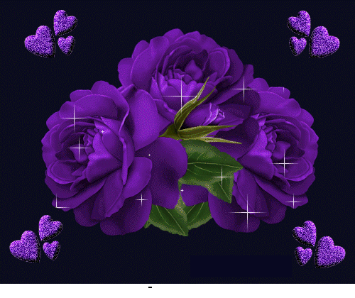 image.gif