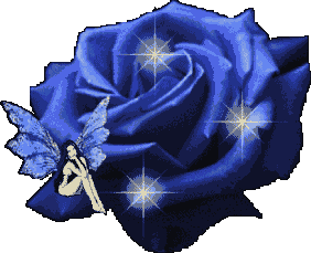 image.gif