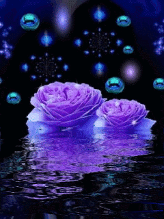 image.gif