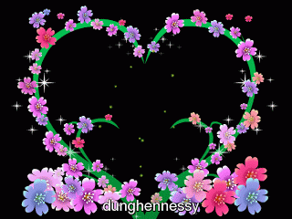 image.gif