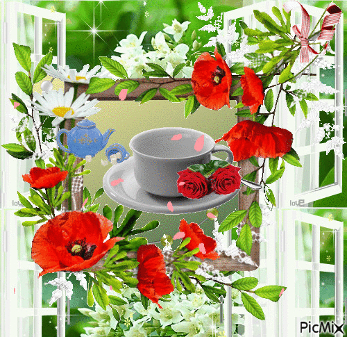 image.gif