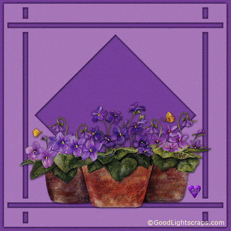 image.gif