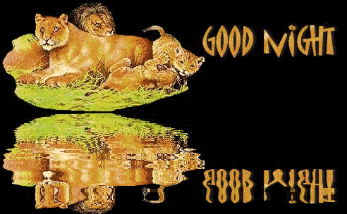 image.gif