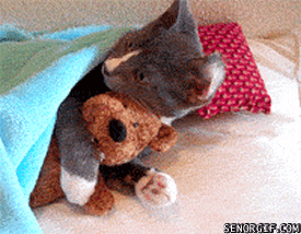 image.gif