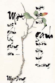 image.gif