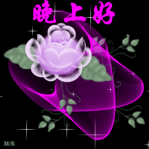 image.gif