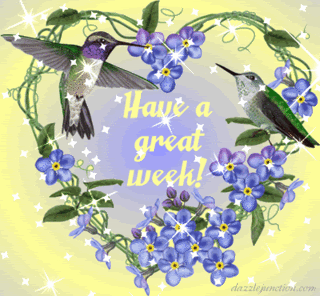 image.gif