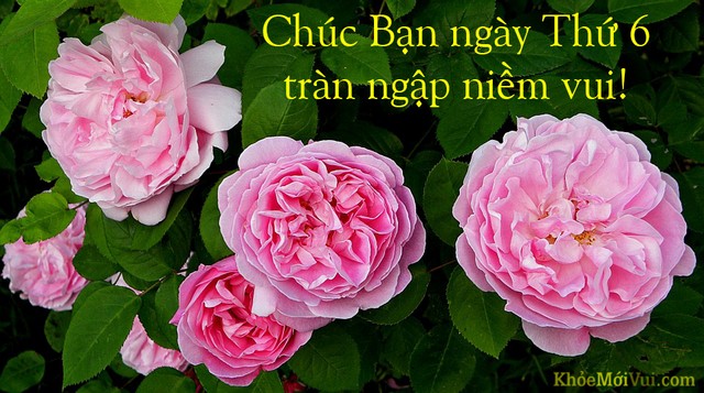 image.jpeg