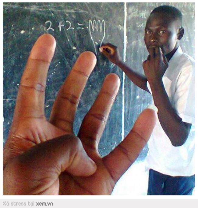 image.jpeg