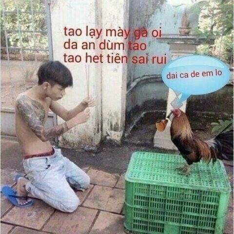 image.jpeg