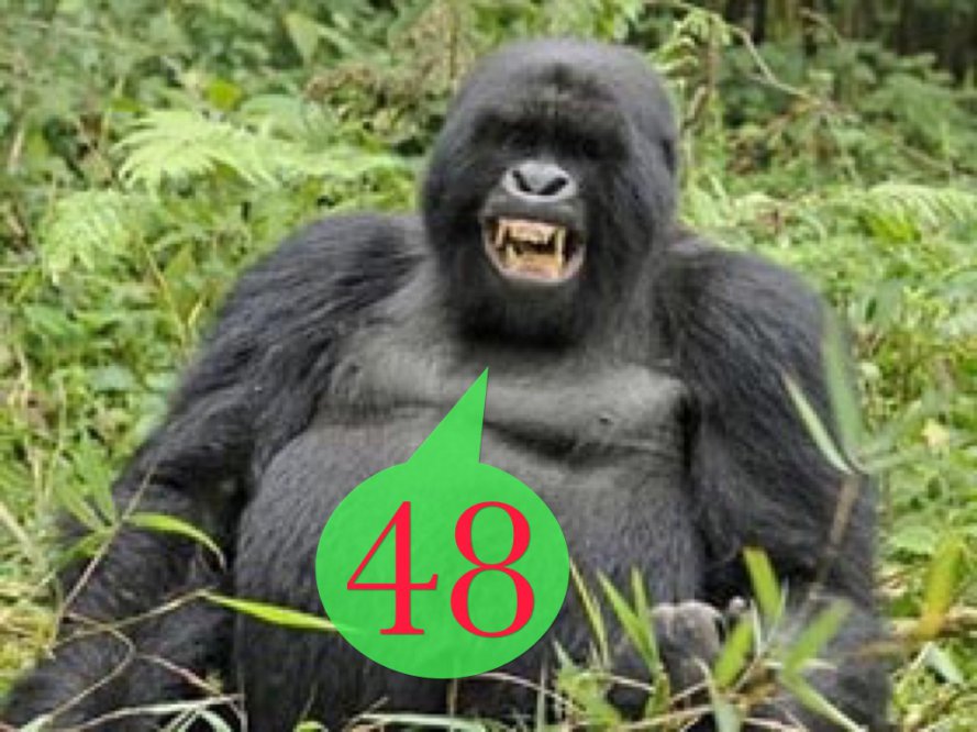 image.jpeg