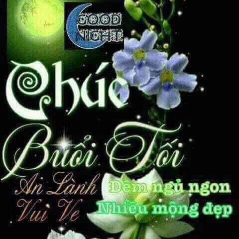 image.jpeg