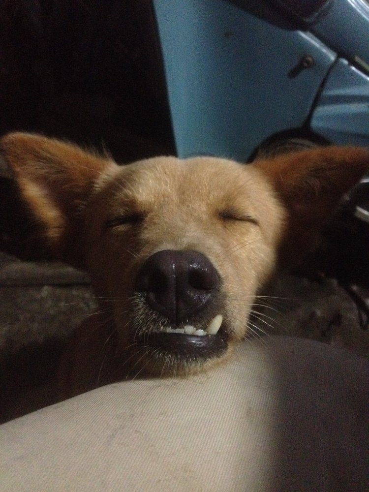 image.jpeg