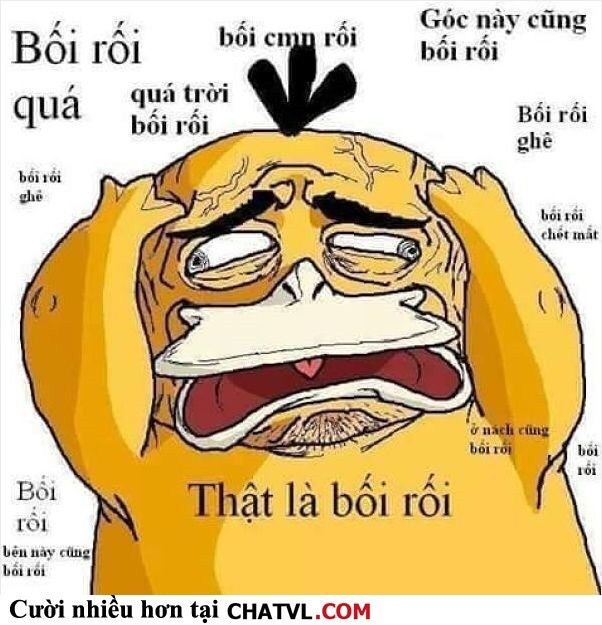 image.jpeg