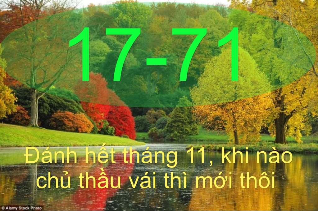 image.jpeg