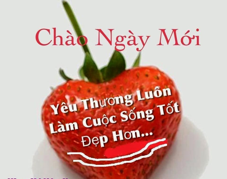 image.jpeg