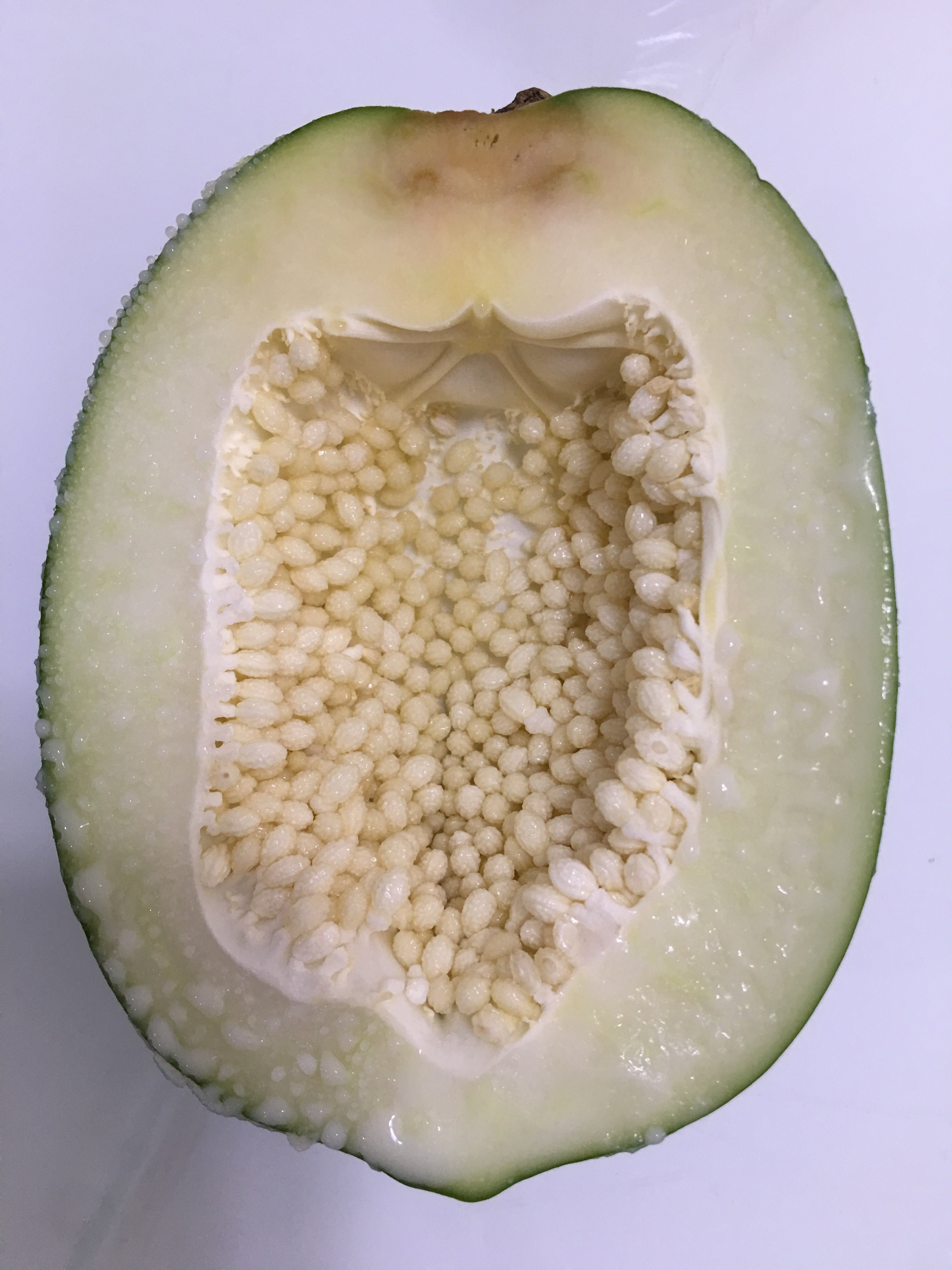 image.jpeg