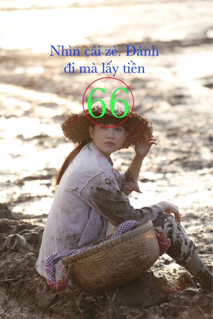 image.jpeg