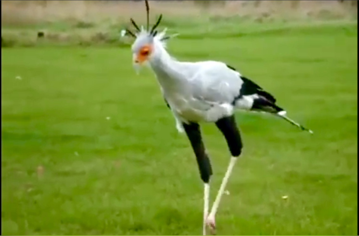 image.jpeg