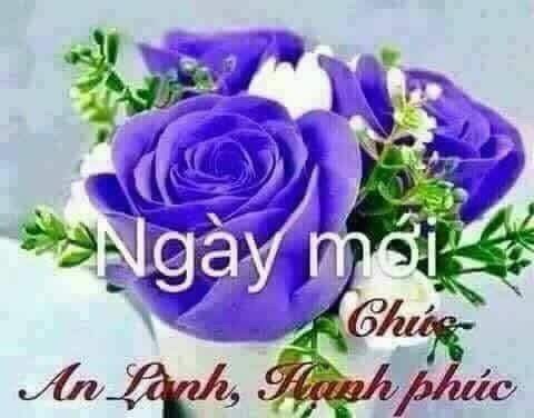 image.jpeg