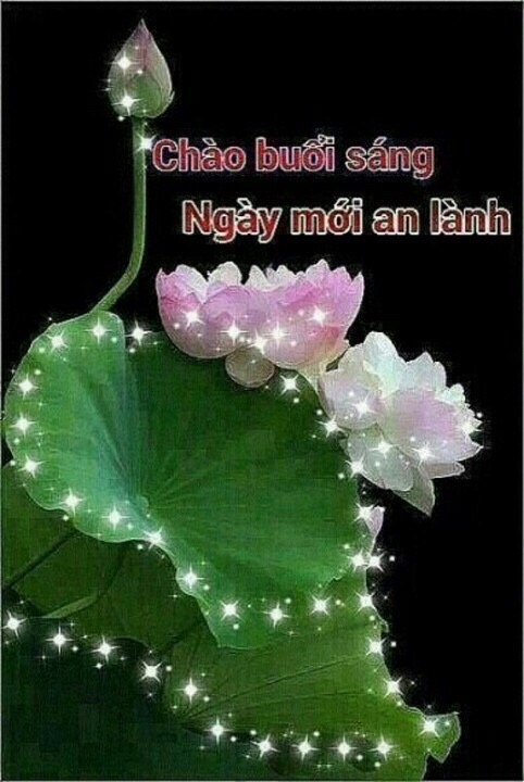 image.jpeg