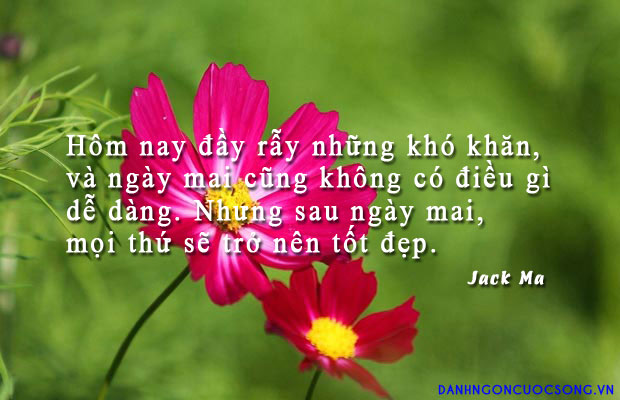 image.jpeg