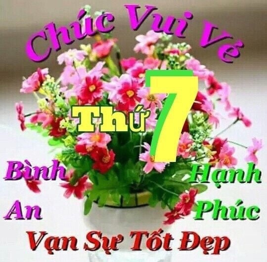 image.jpeg
