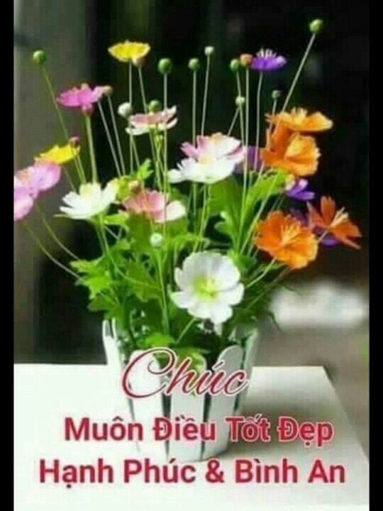 image.jpeg