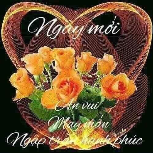 image.jpeg