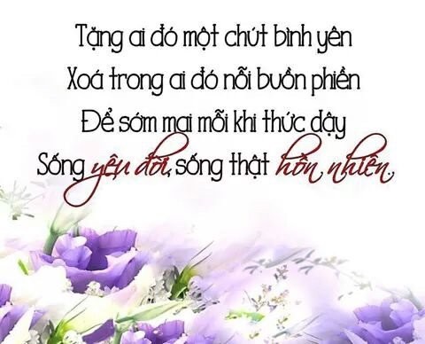 image.jpeg
