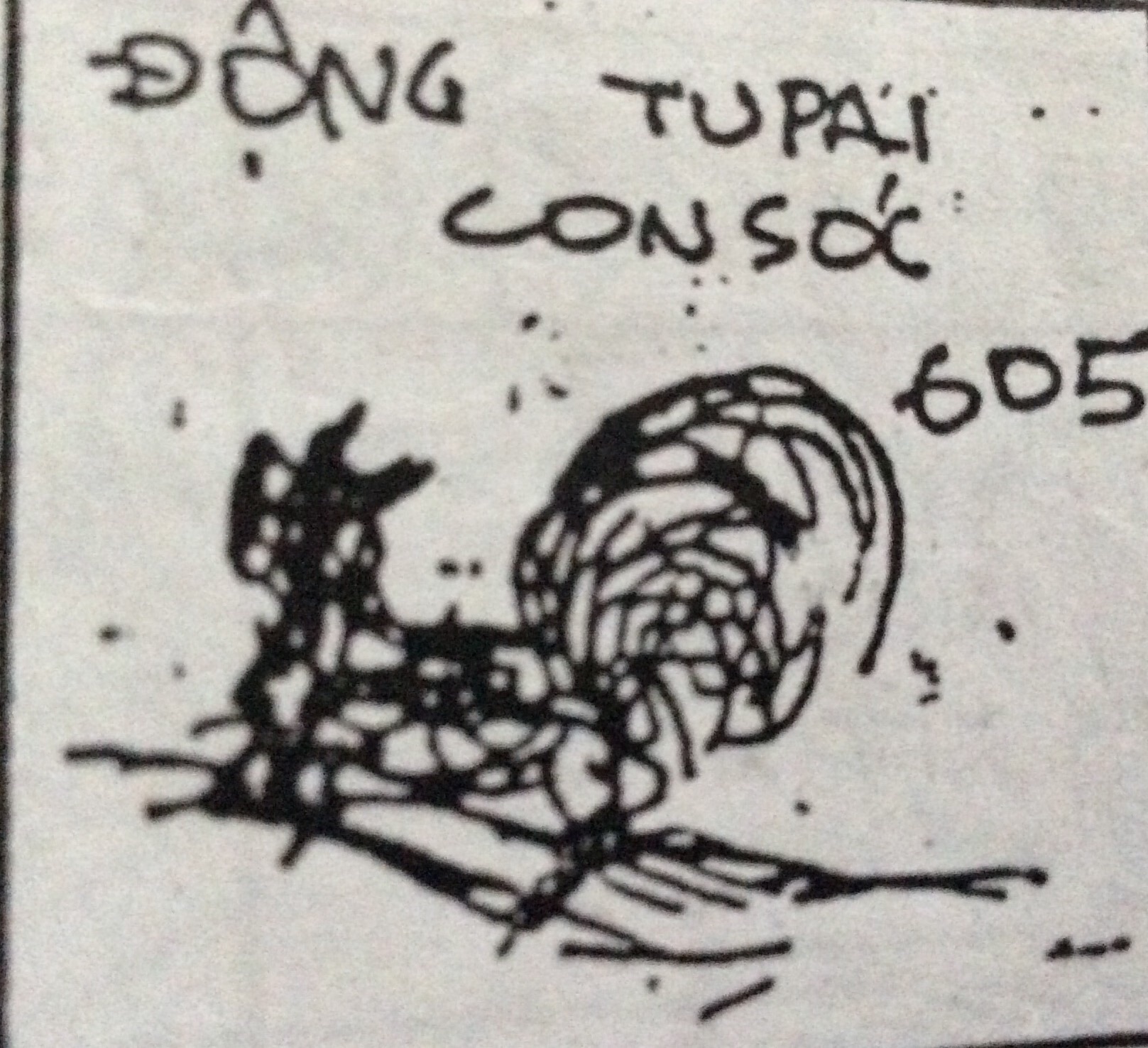 image.jpg