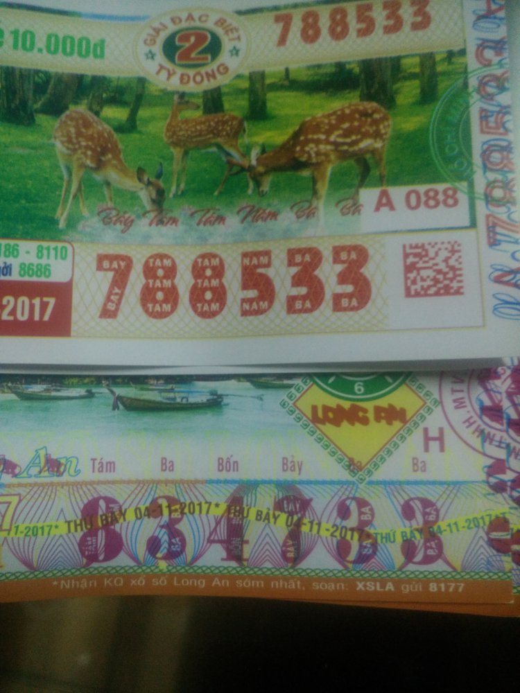 IMG20171104160128.jpg