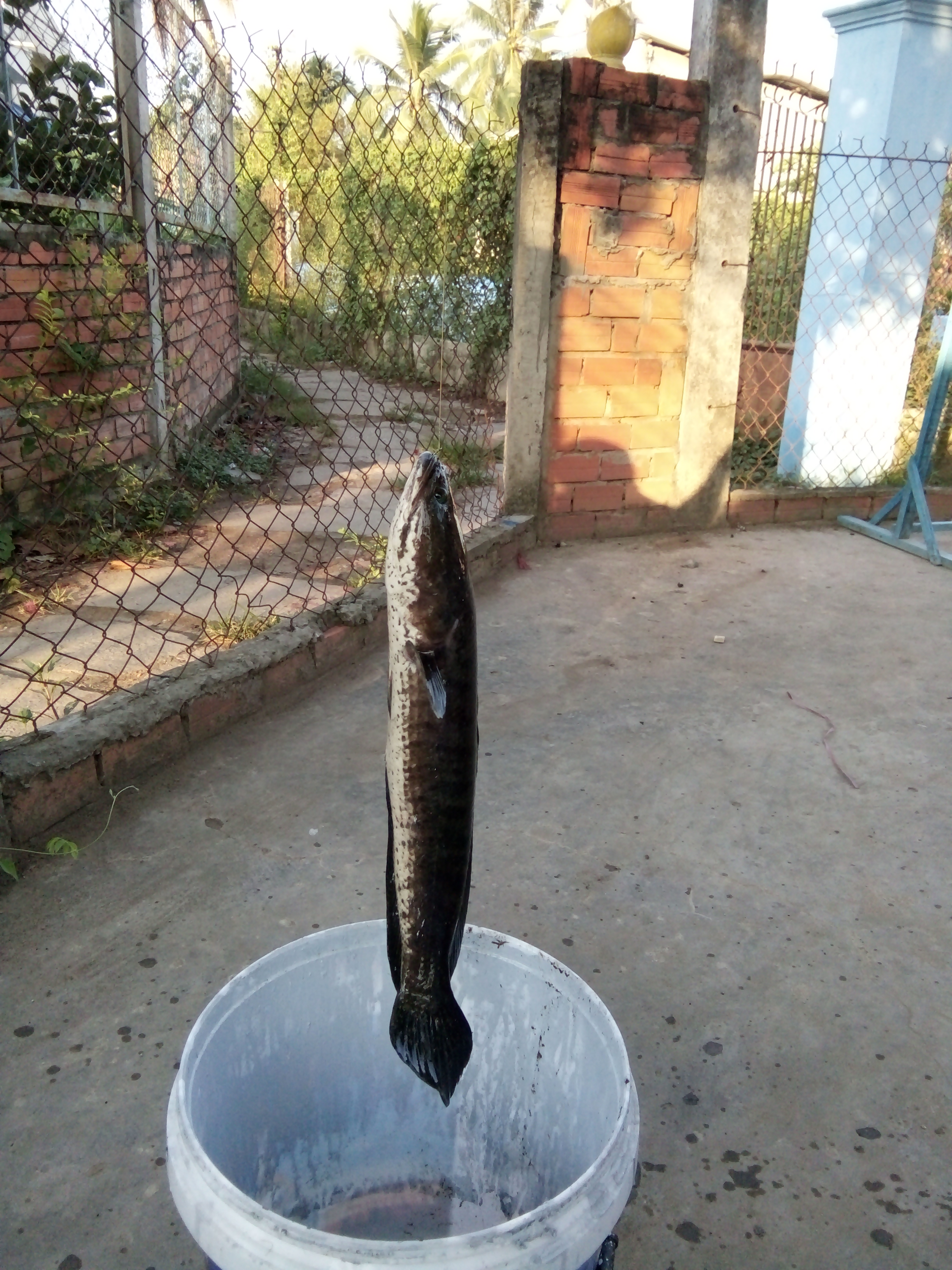 IMG20190430063723.jpg