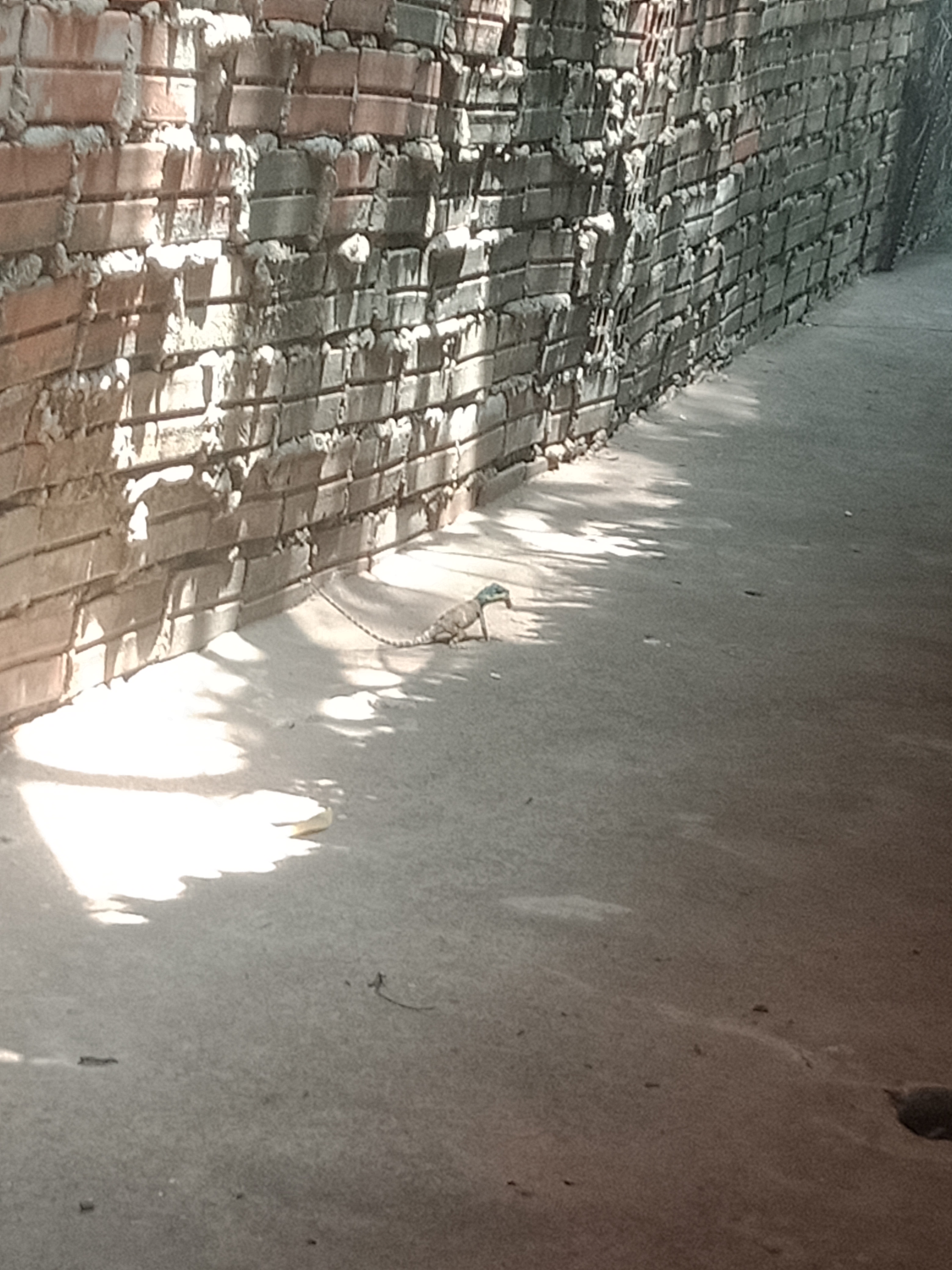 IMG20200514112605.jpg
