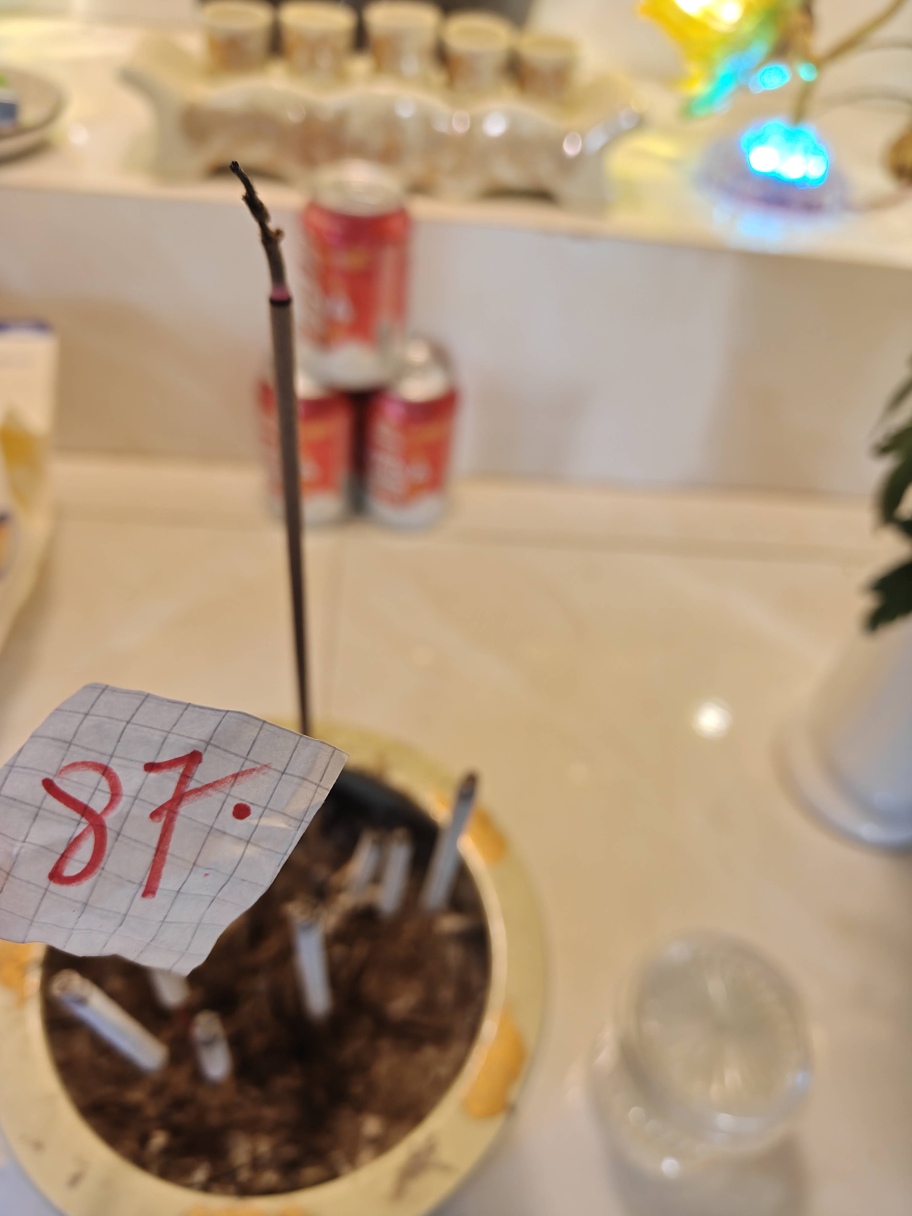 IMG20260512155329.jpg