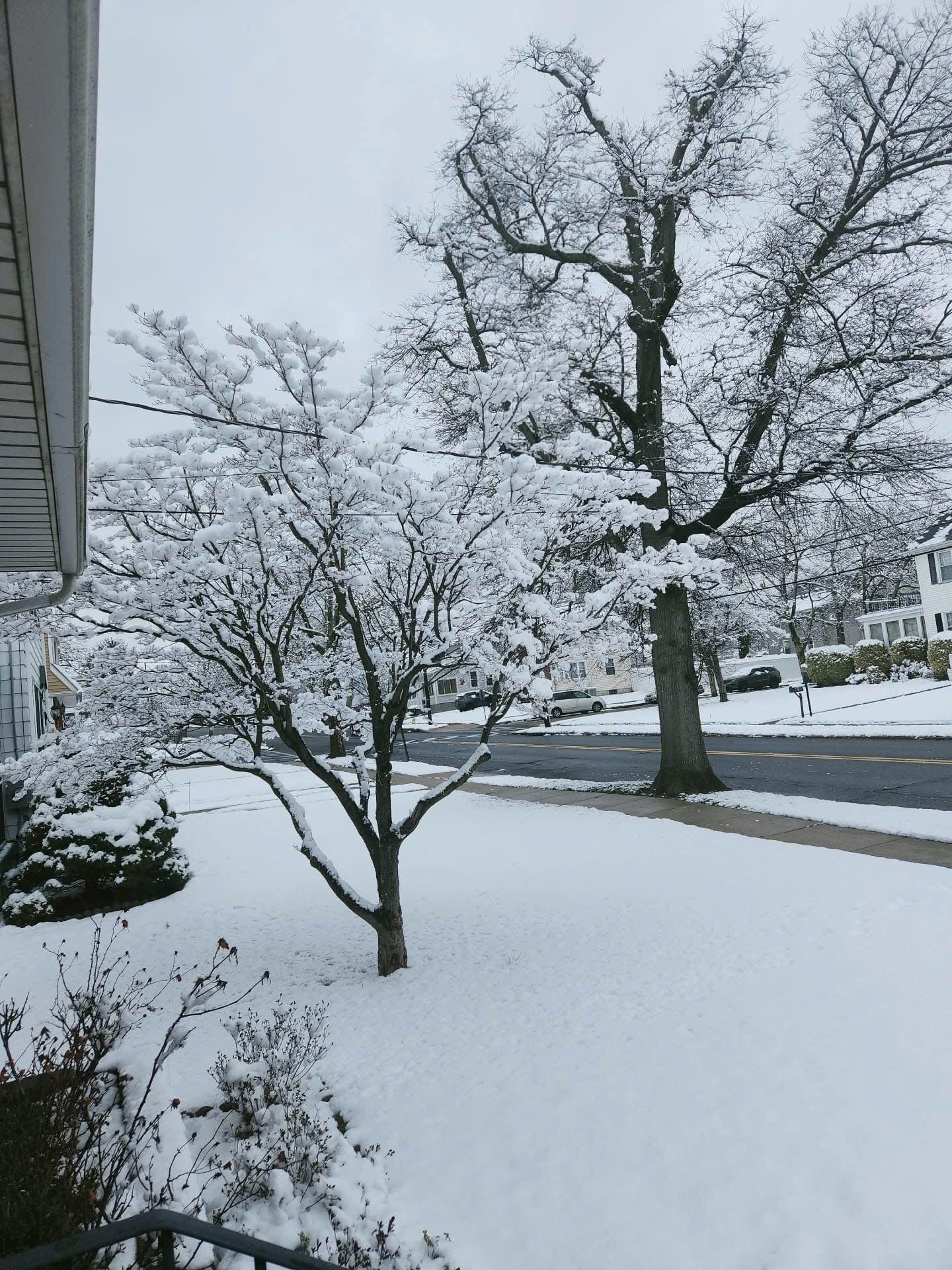 IMG_0206.jpeg
