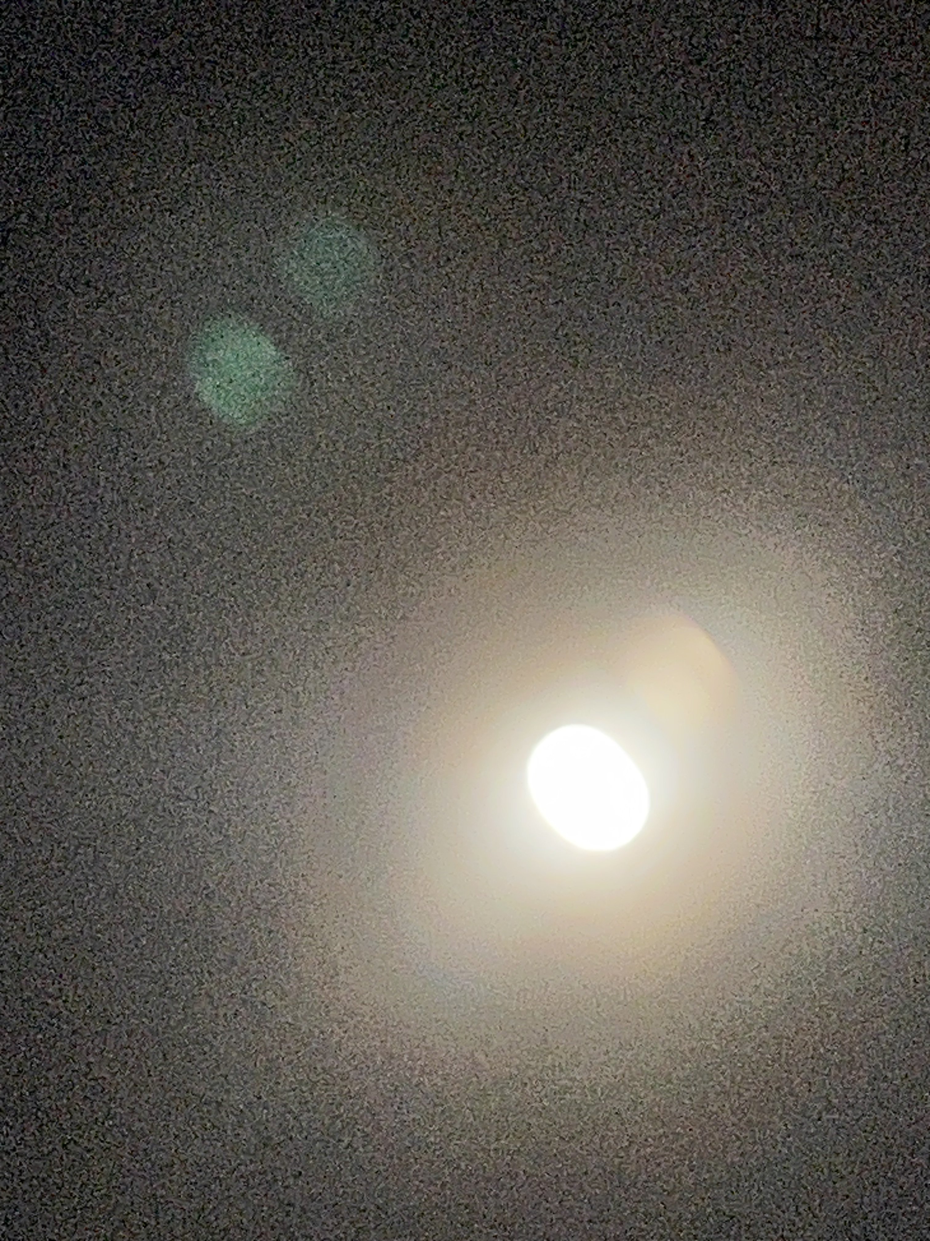 IMG_0649.jpeg