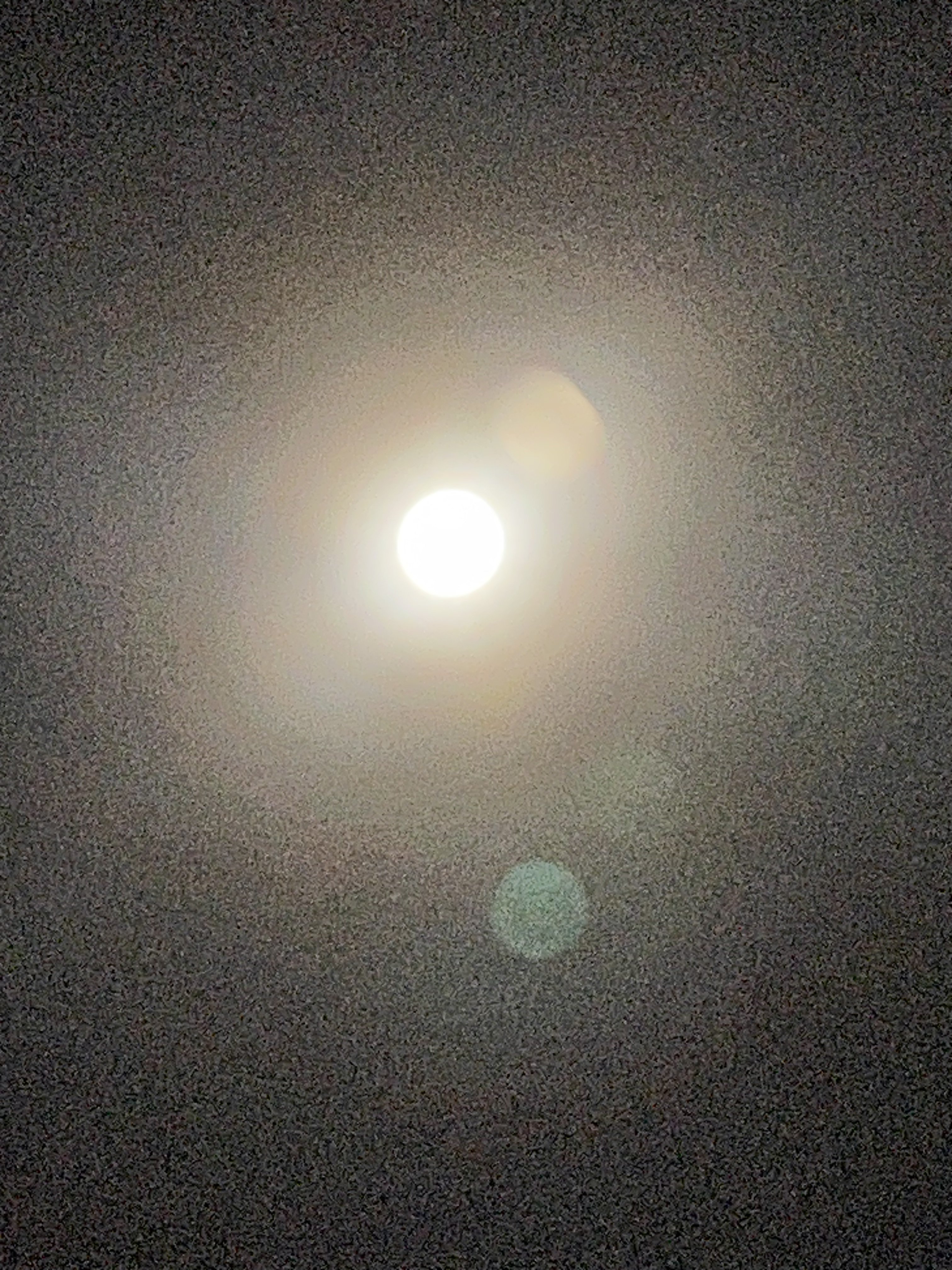IMG_0651.jpeg