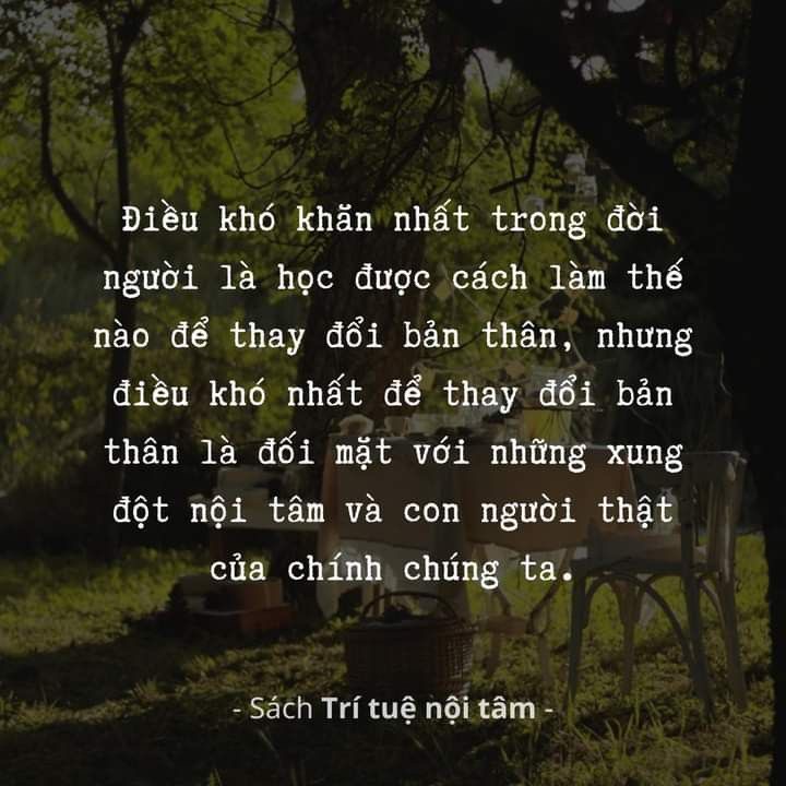 IMG_0993.jpeg