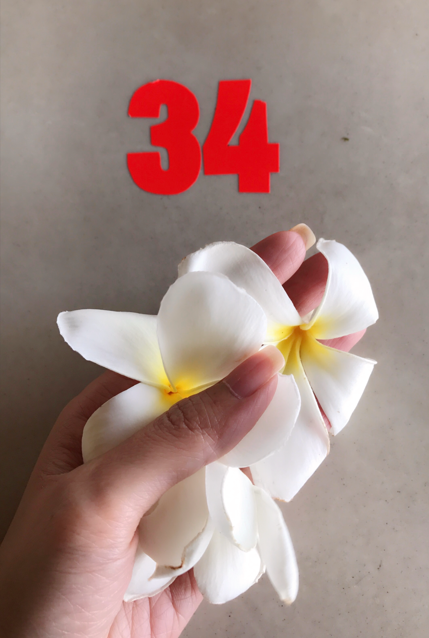 IMG_1944.PNG