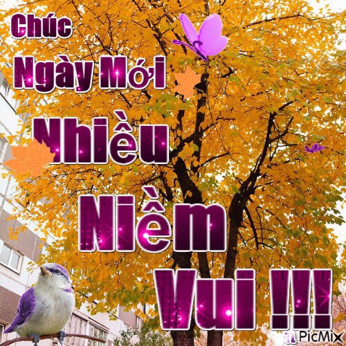 IMG_20210110_085307.jpg
