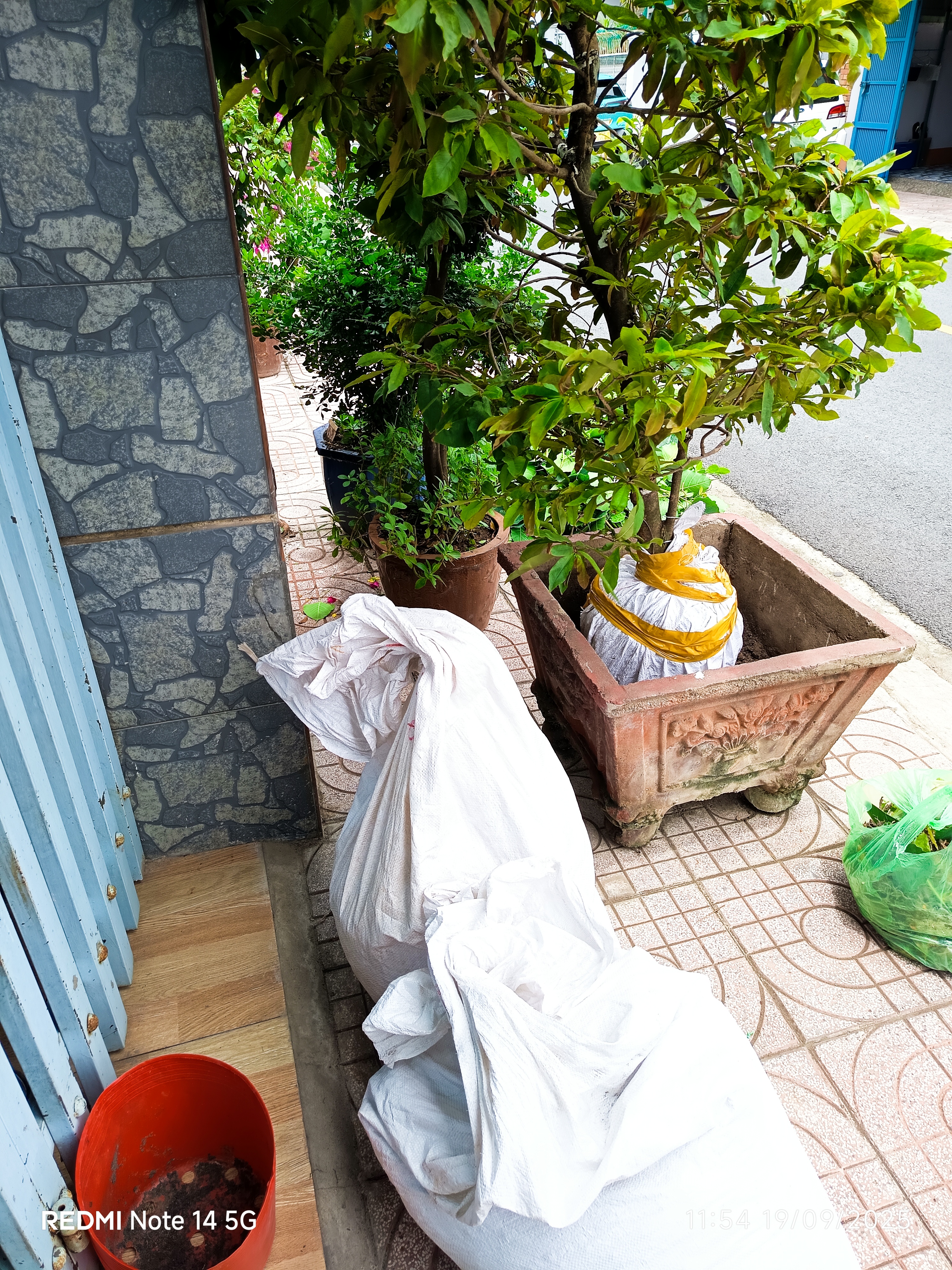 IMG_20250919_115404.jpg