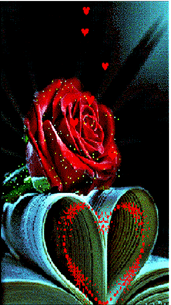 IMG_4140.GIF